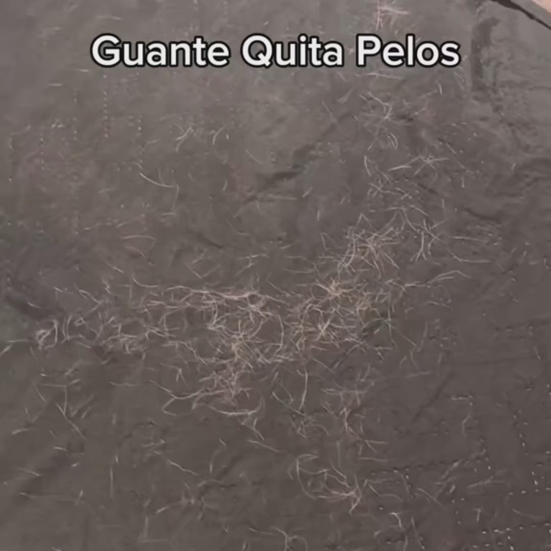 Cargar video: 